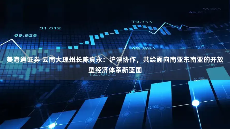 美港通证券 云南大理州长陈真永：沪滇协作，共绘面向南亚东南亚的开放型经济体系新蓝图