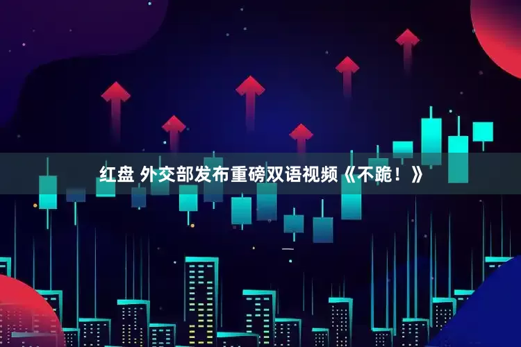 红盘 外交部发布重磅双语视频《不跪！》