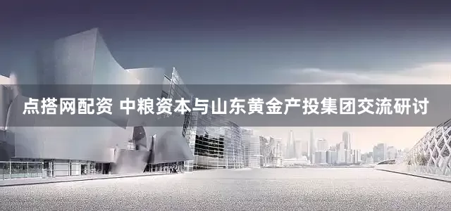 点搭网配资 中粮资本与山东黄金产投集团交流研讨