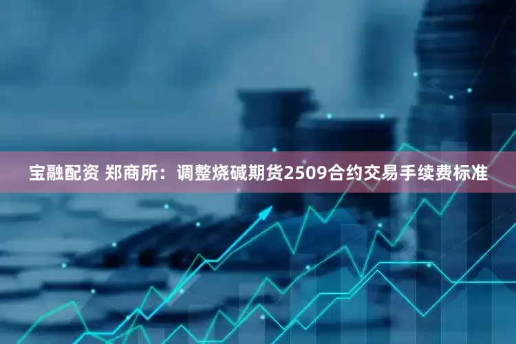 宝融配资 郑商所：调整烧碱期货2509合约交易手续费标准