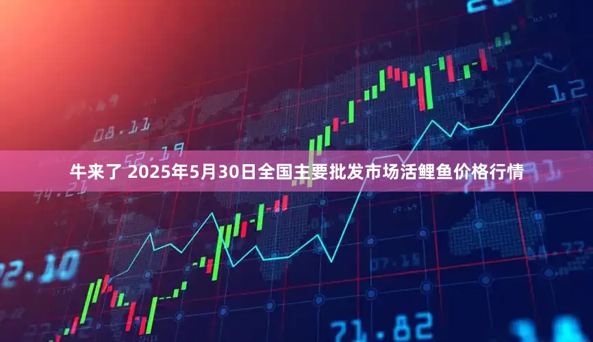 牛来了 2025年5月30日全国主要批发市场活鲤鱼价格行情