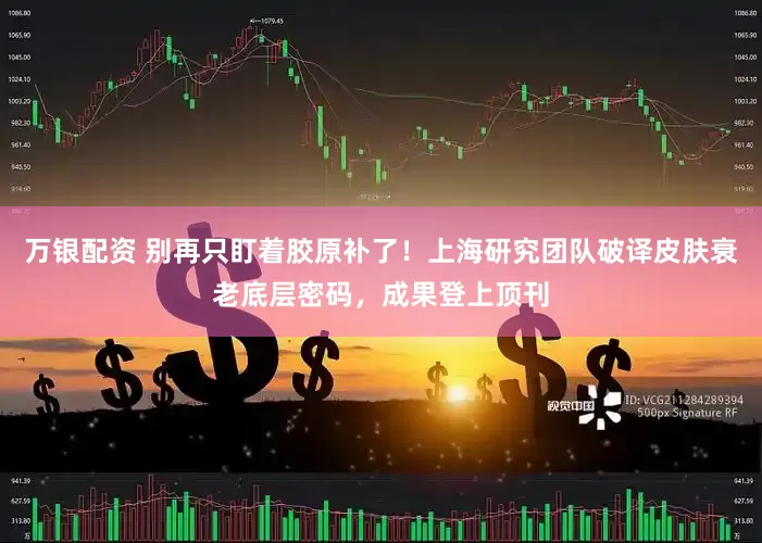 万银配资 别再只盯着胶原补了！上海研究团队破译皮肤衰老底层密码，成果登上顶刊